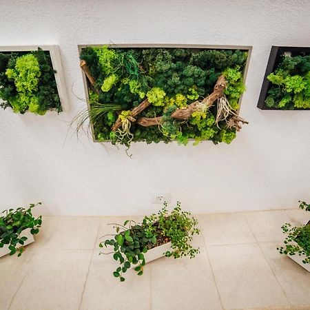 Cerdac Cotesti Golestii de Sus Exteriér fotografie