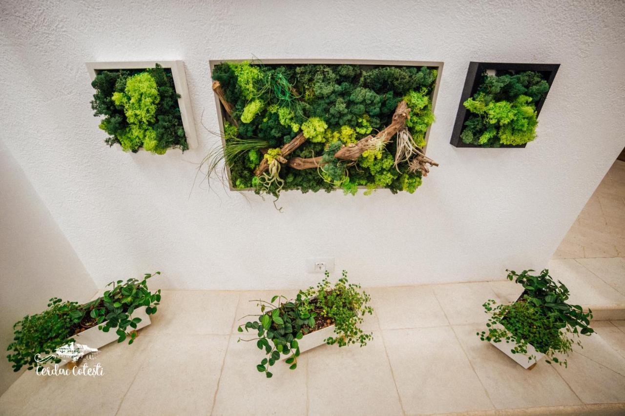 Cerdac Cotesti Golestii de Sus Exteriér fotografie
